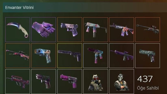 STEAM CS2 MOR ENVANTER HESAP