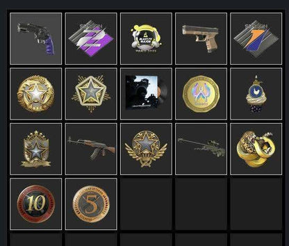 STEAM 40 LEVEL DOLU HESAP