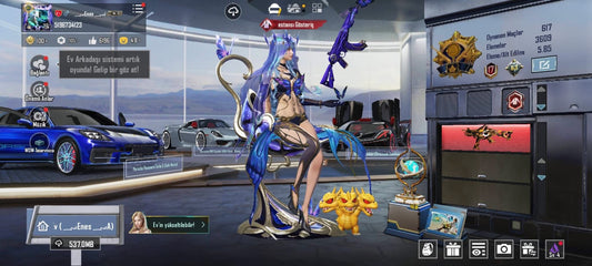 PUBG ÜST SEVİYE HESAP