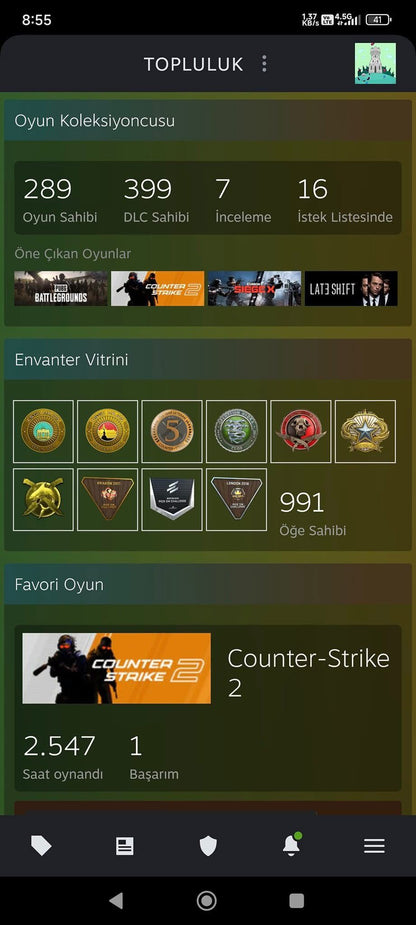 STEAM 93 SEVİYE HESAP