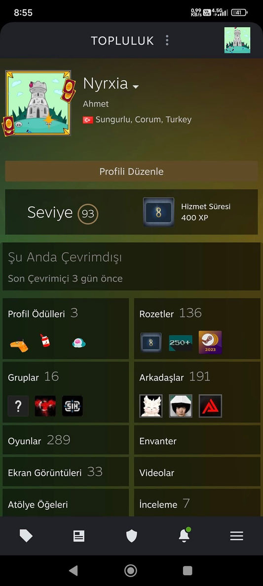 STEAM 93 SEVİYE HESAP